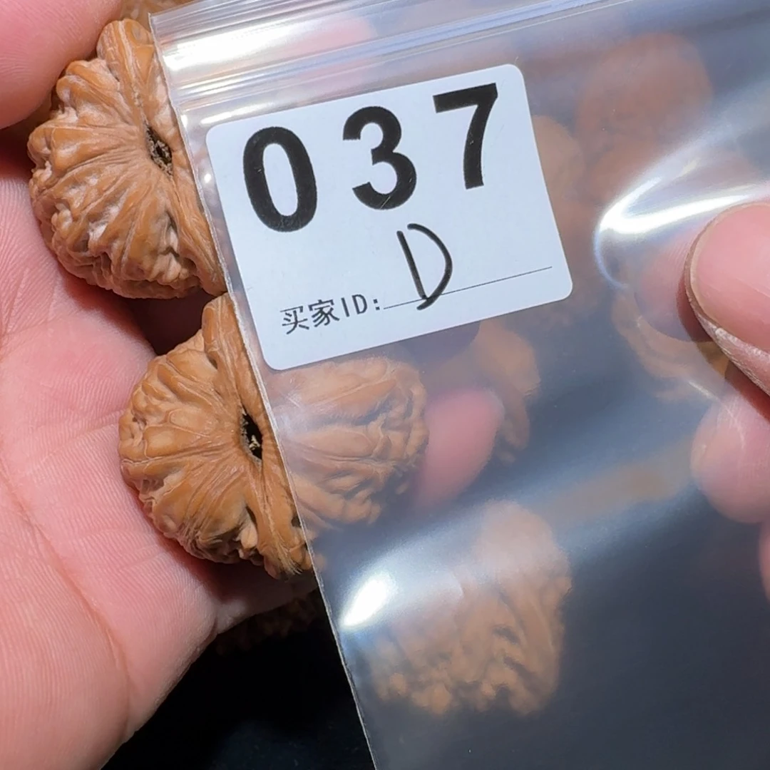 文玩核桃把件秦****哥元宝