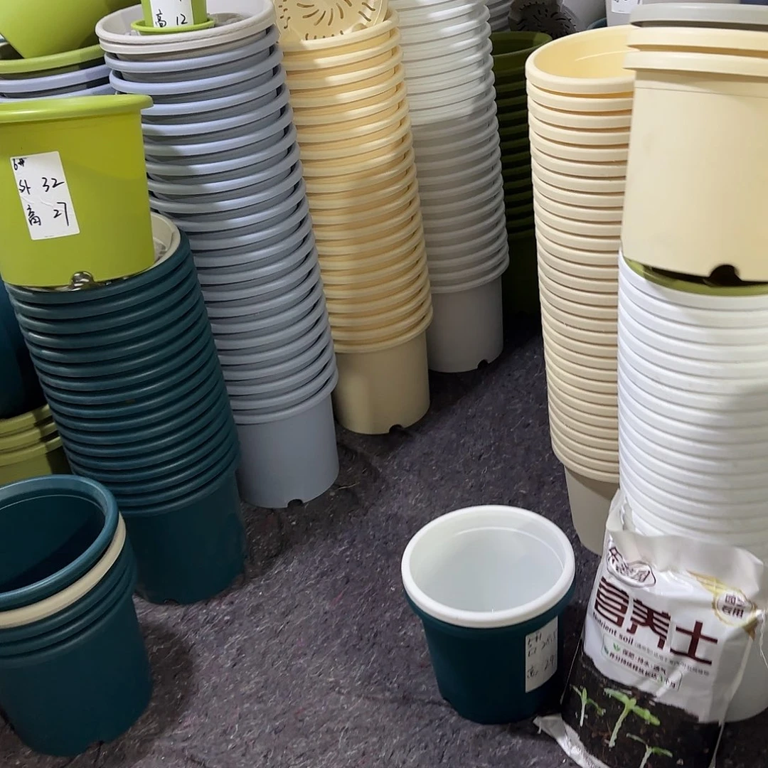 树脂四季6号无托7个白色微瑕