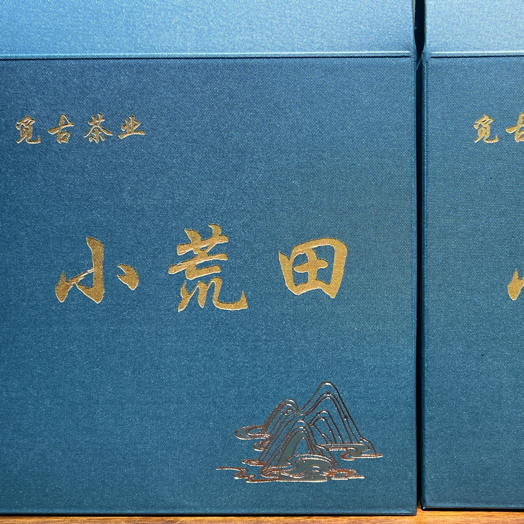 2025年小荒田头春大树普洱生茶（散茶） 500 克