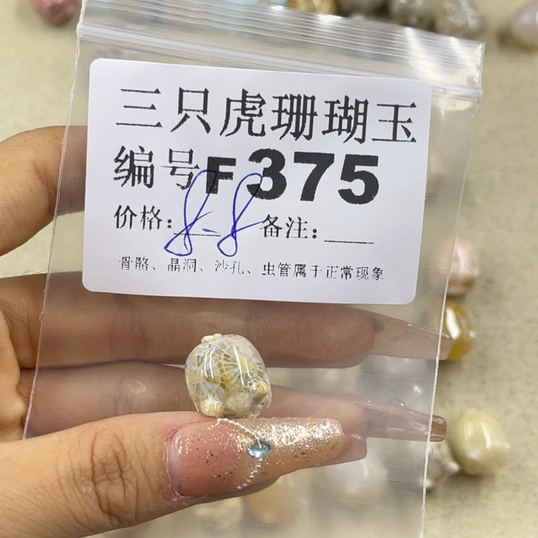乱***绪未镶嵌h硅化珊瑚（珊瑚玉）