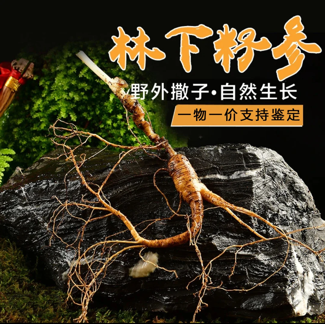 长白山林下参籽货2支特惠装