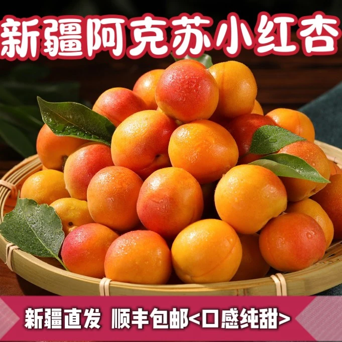 【大乐专属】正宗新疆小红杏新鲜水果阿克苏杏子甜顺丰空运伊犁轮台