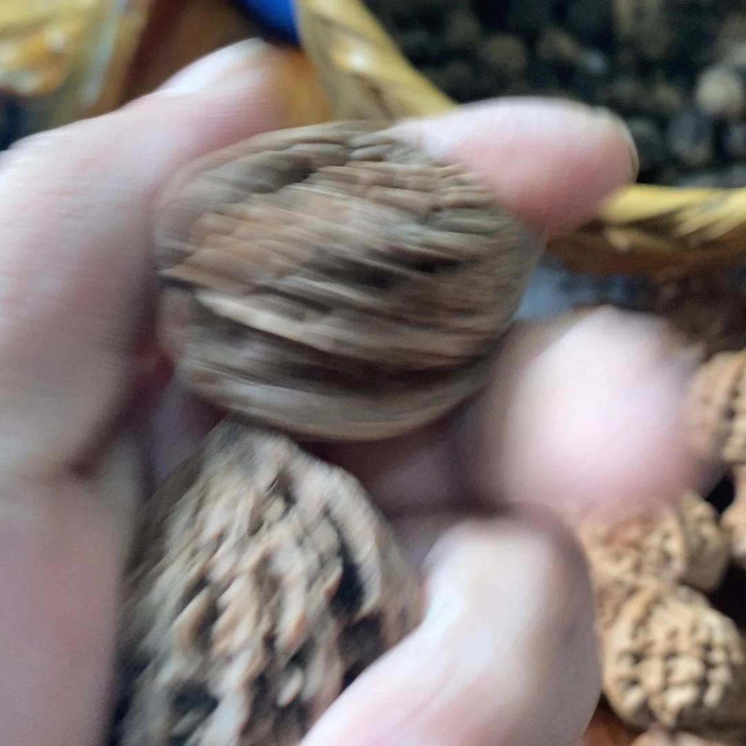 V****s秦岭南侧和东北的山