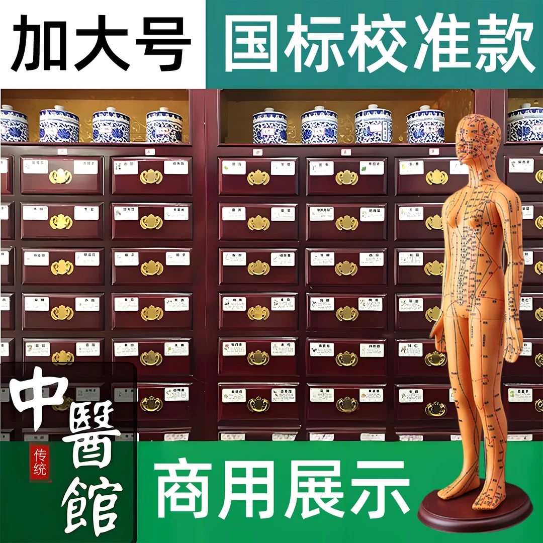 针灸穴位人体模型经络全身小皮人中医人形十二人模可扎针标准铜人