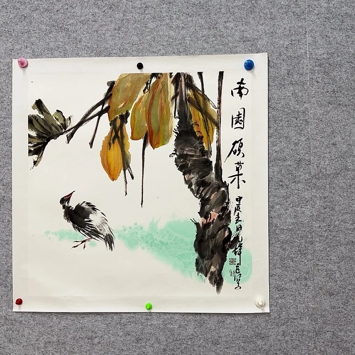 国画花鸟的翅膀和翅膀