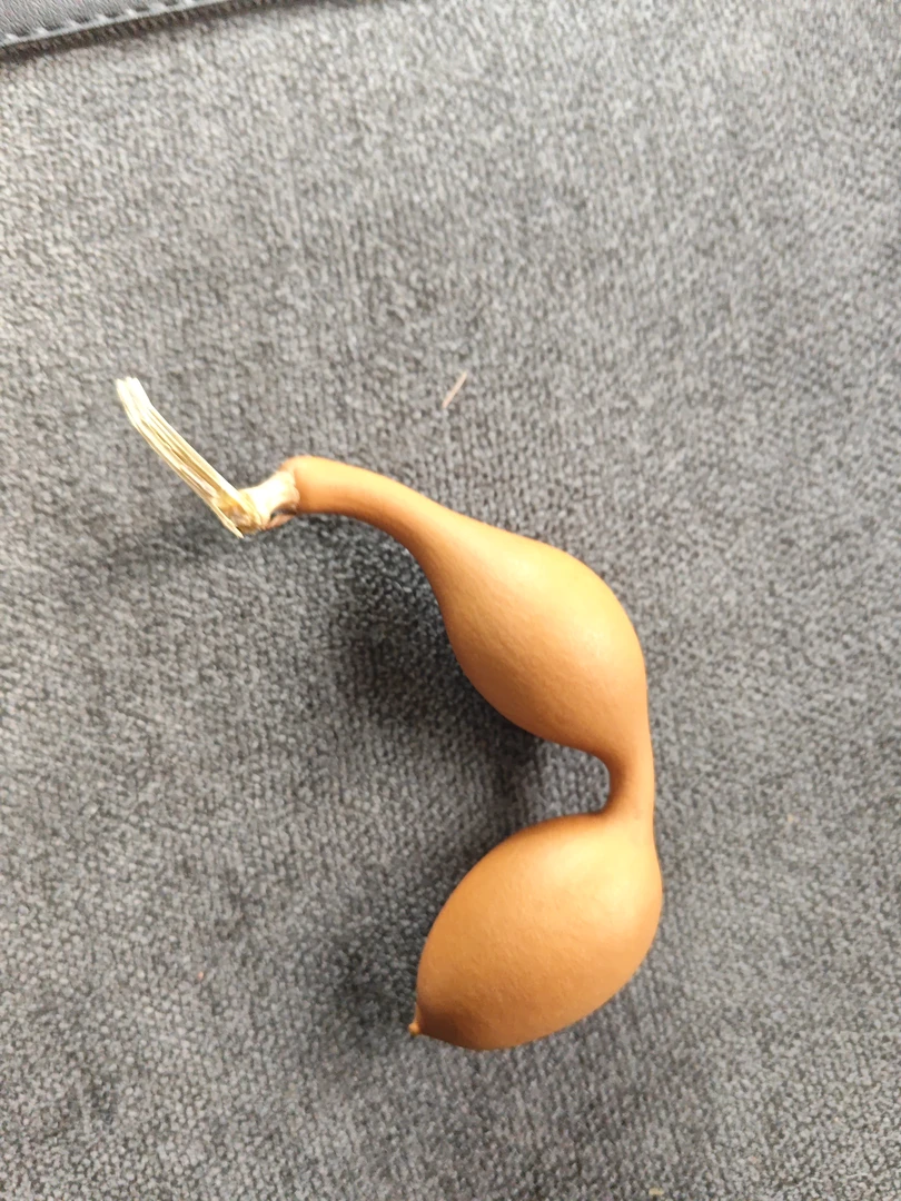 葫芦通货 默认微瑕 介意者勿拍