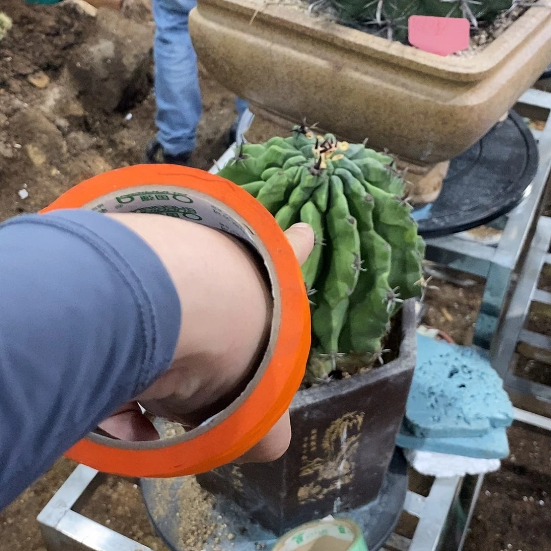 小**.0000000000000000000