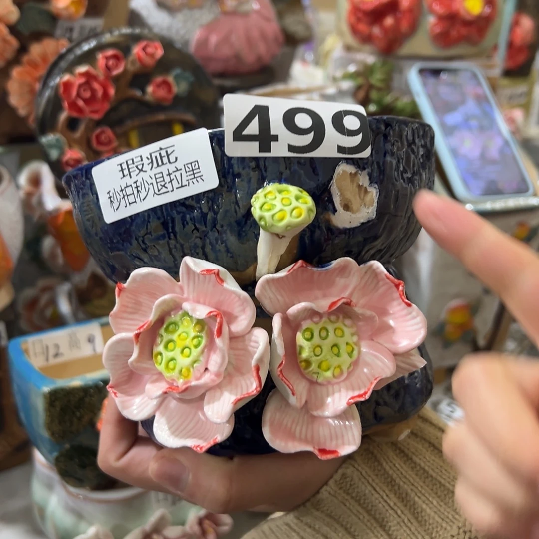 瑕疵499 花盆，拍满20发货，退款拉黑