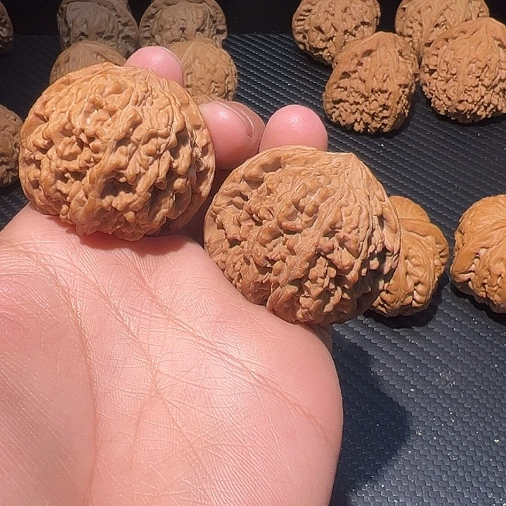 核桃40➕矮桩满天星