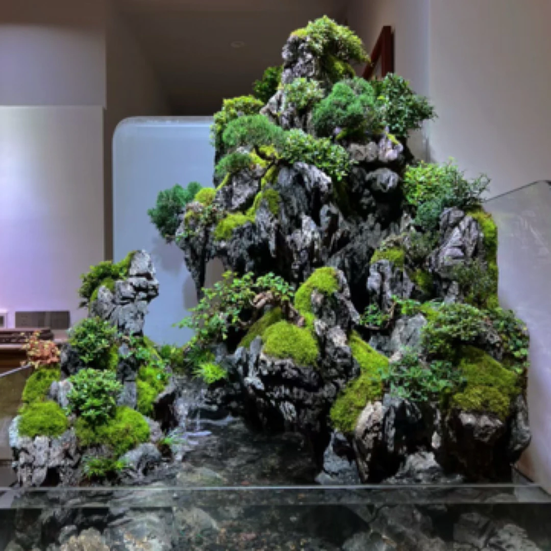 室内室外生态景观水陆缸定制