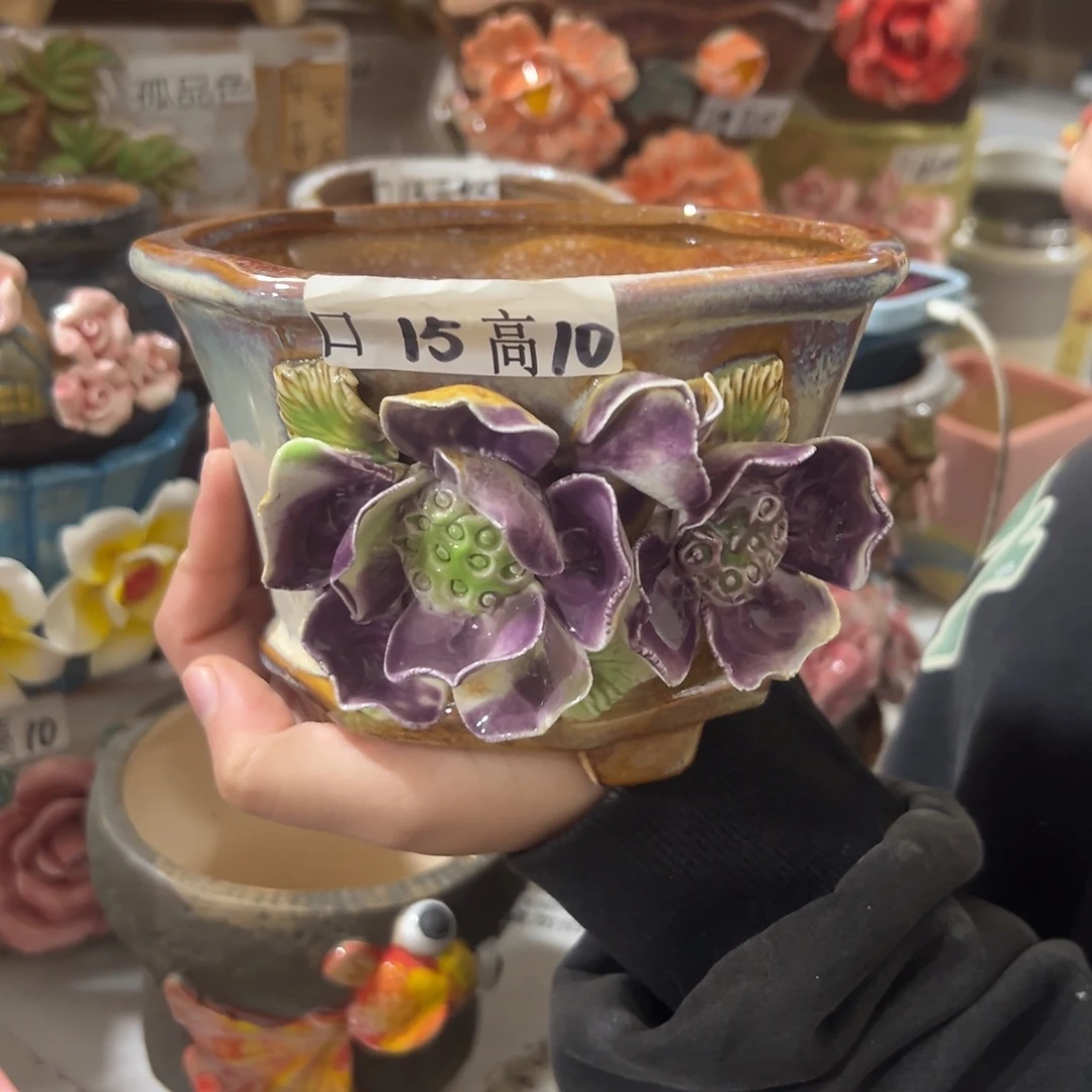 花盆，拍满20发货，退款拉黑