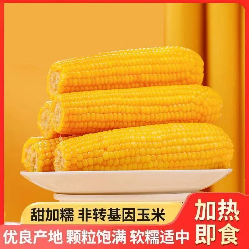 永乐农庄新疆玉米阿勒泰黄糯鲜食玉米锁鲜软糯香甜味浓营养代餐