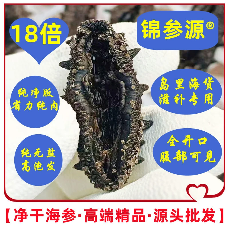 【全开口·纯净版·纯无盐·野款】长岛深海干海参 高端精品源头批发