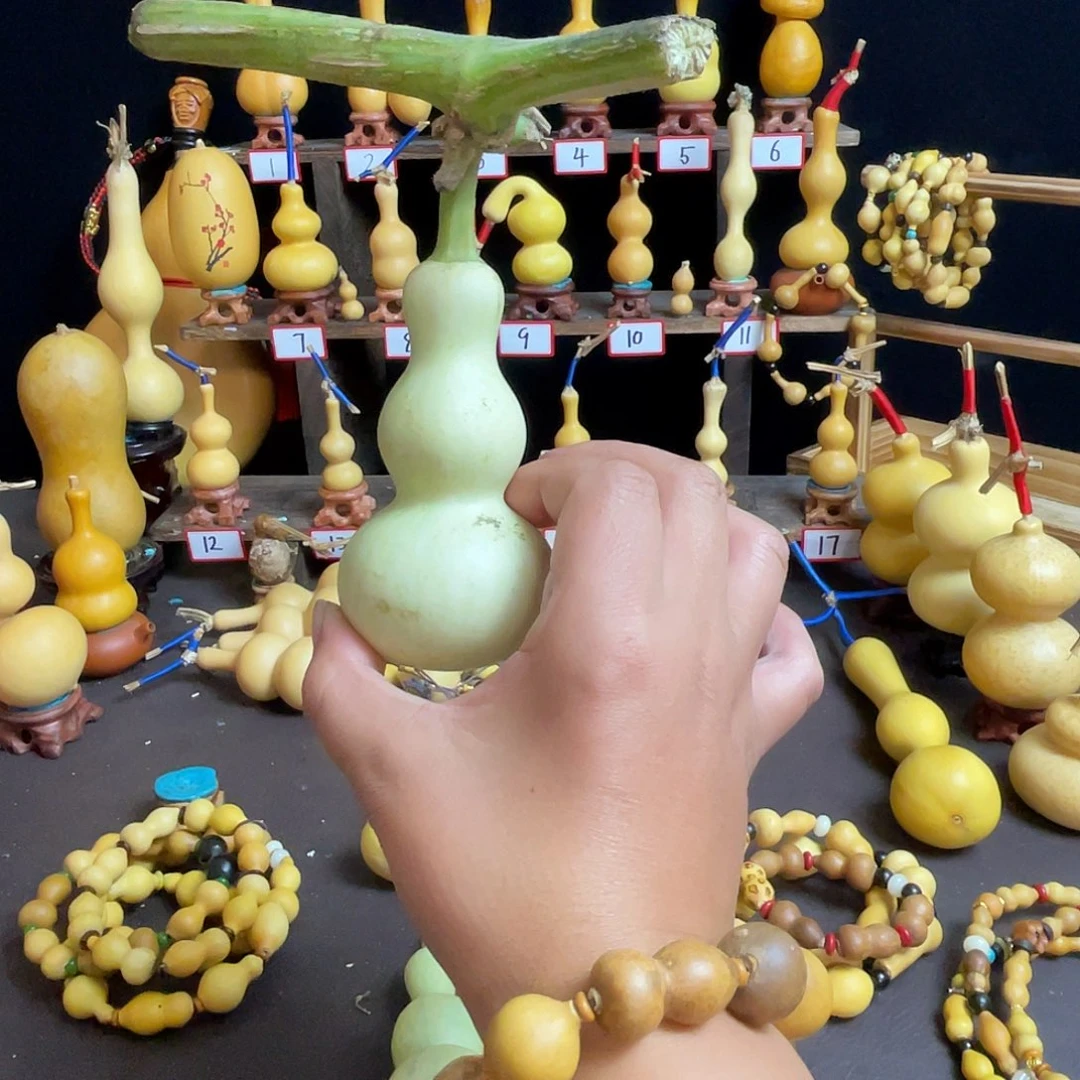 奔***.大叶紫檀（黑酸枝木类）