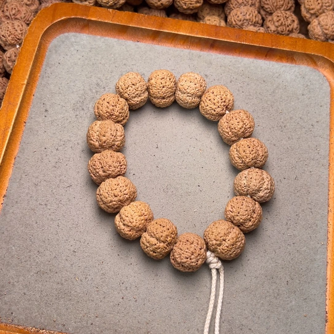 菩提4号金刚菩提菠萝蜜21