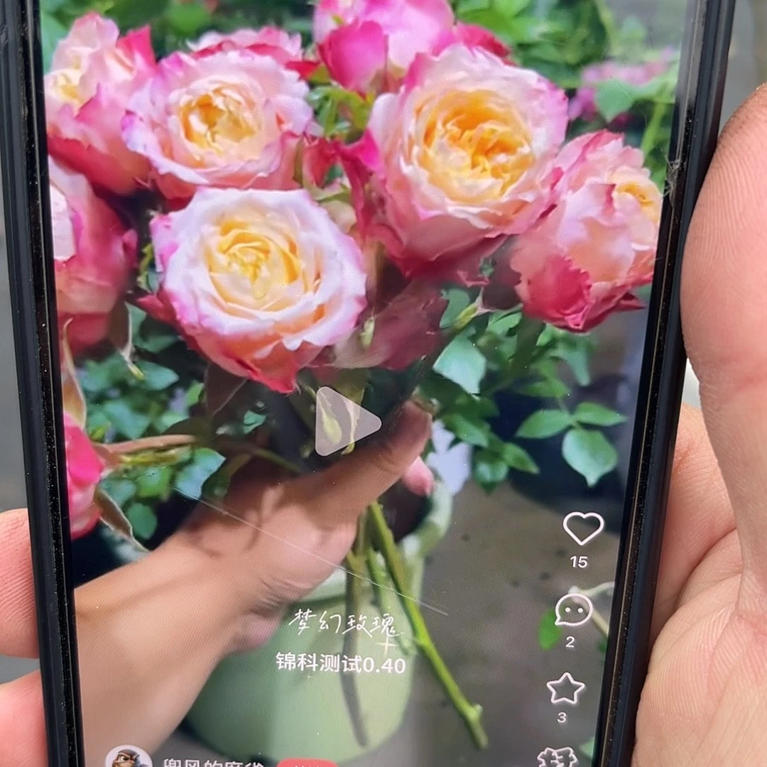 无花朵——-梦幻 福利