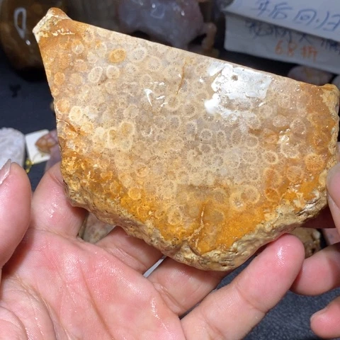 【闪购商品】硅化玉颈饰未镶嵌