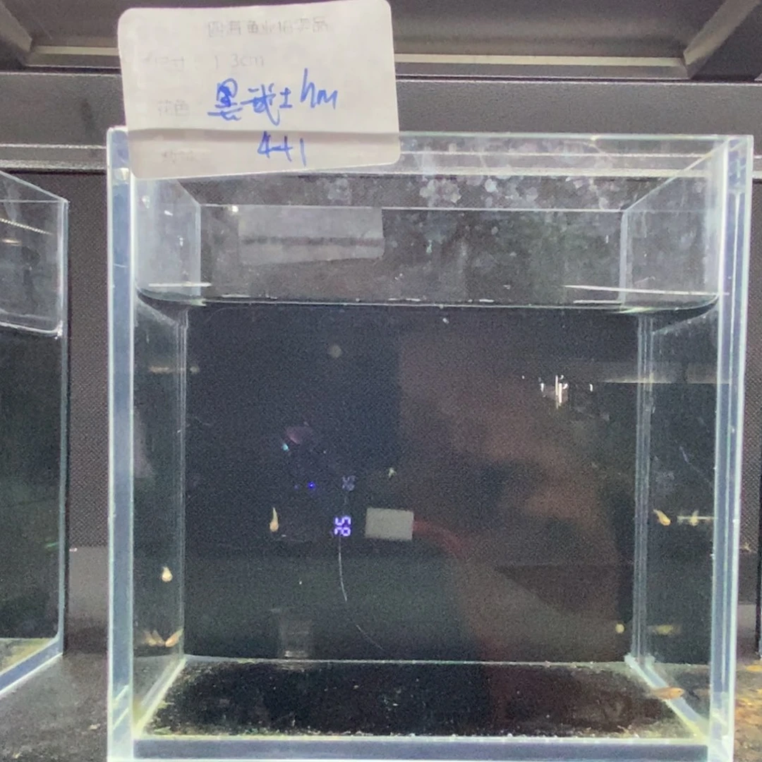 斗鱼包活不包损所见即所得018