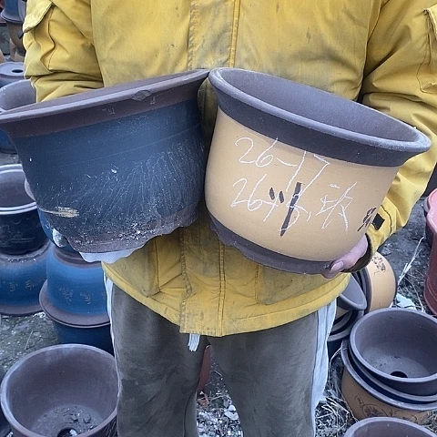 紫砂中国宜兴紫砂花盆，