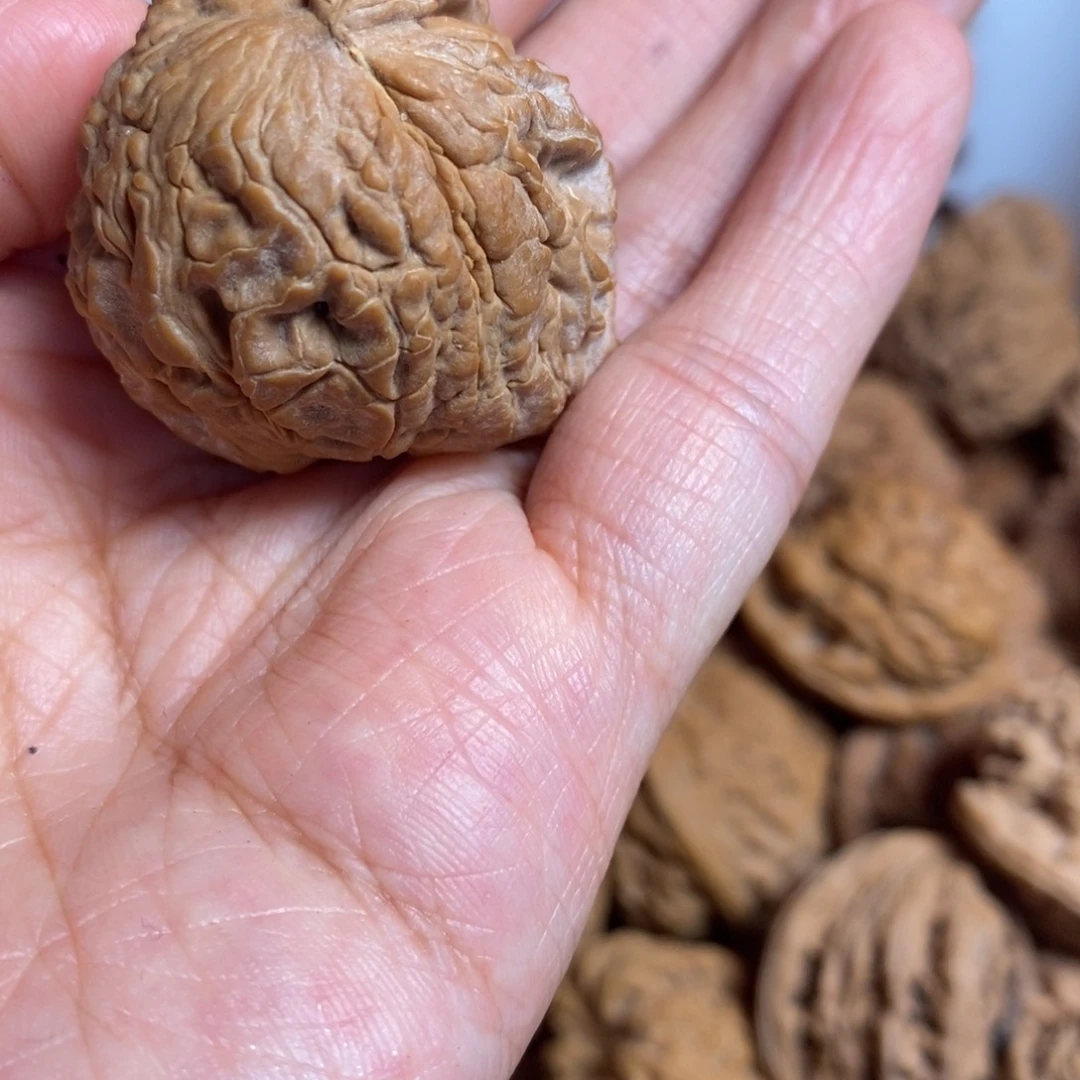 文玩核桃把件少****虾