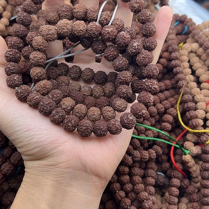 名***将金刚菩提手串谢谢