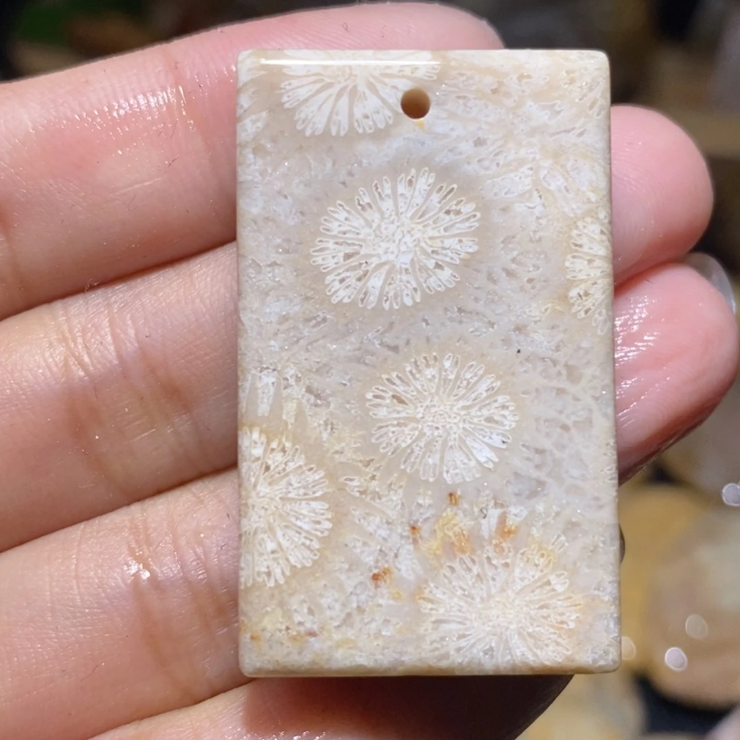 【闪购商品】硅化玉颈饰未镶嵌