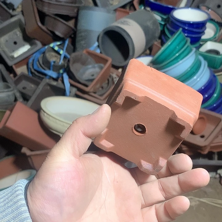 紫砂哈哈真的是太给力太火爆了