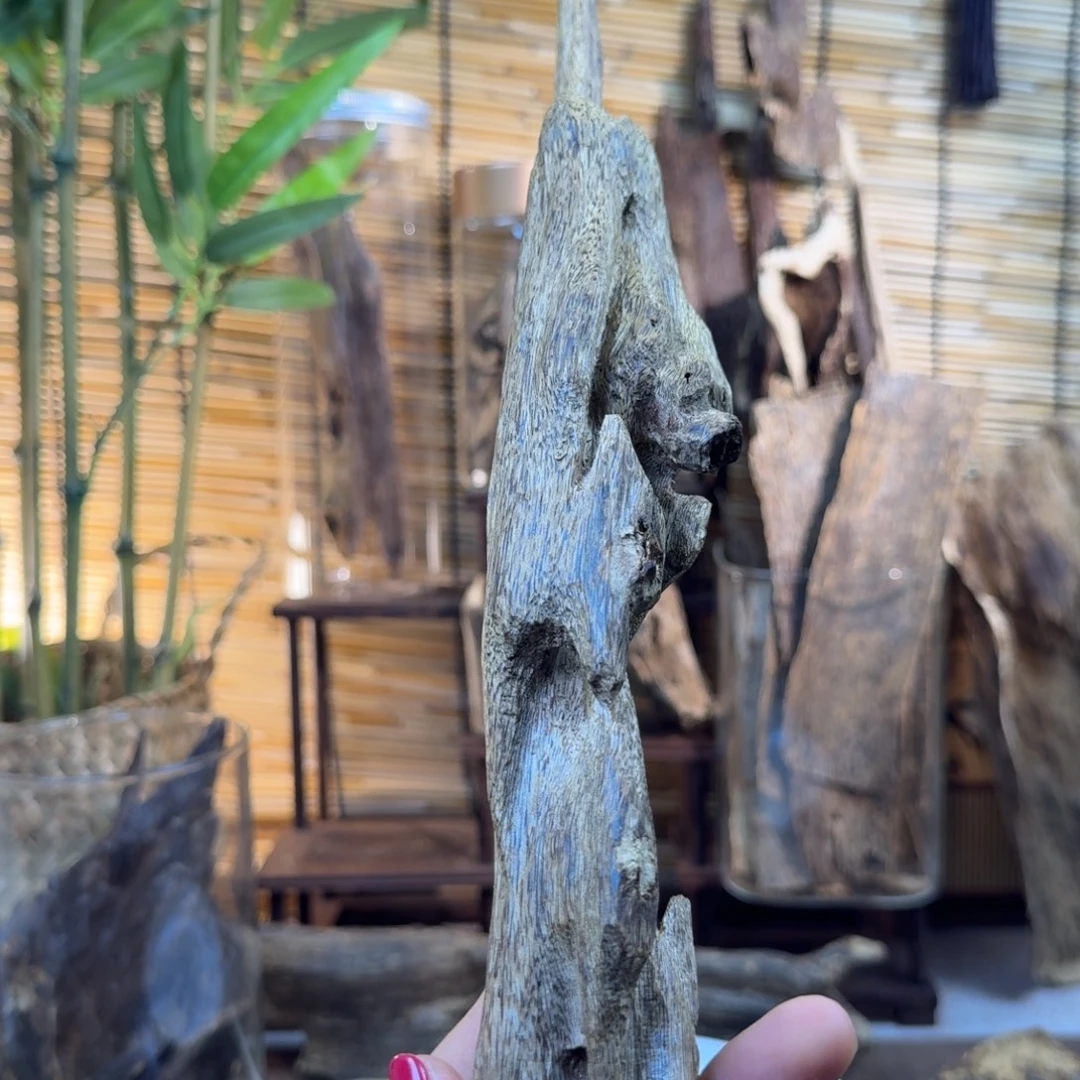 沉香碎屑沉香沉香天然虫漏81g