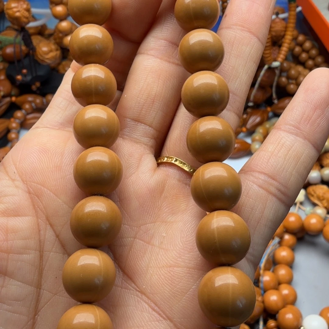 橄榄核吊坠猴头虫科属