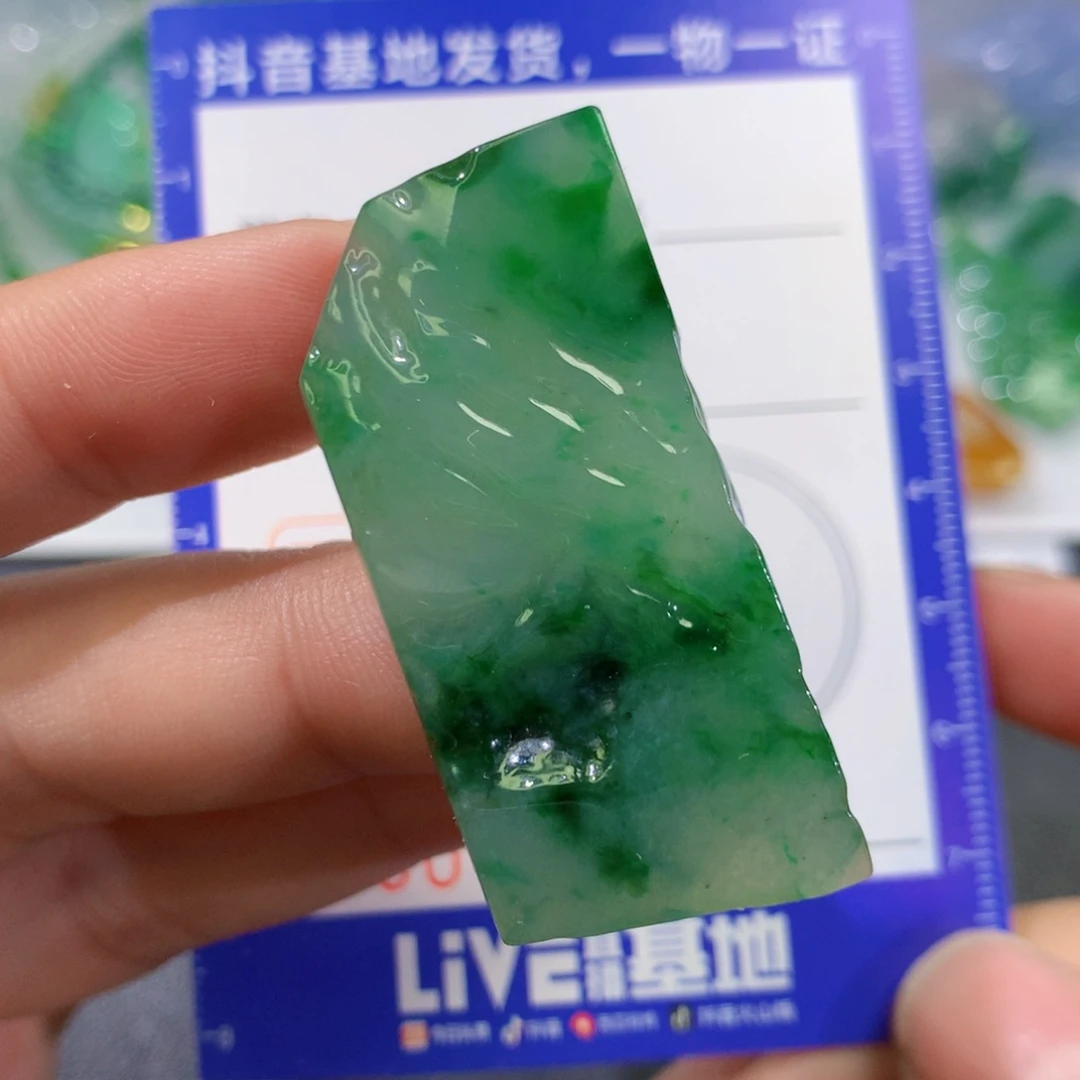 翡翠未镶嵌颈饰保真