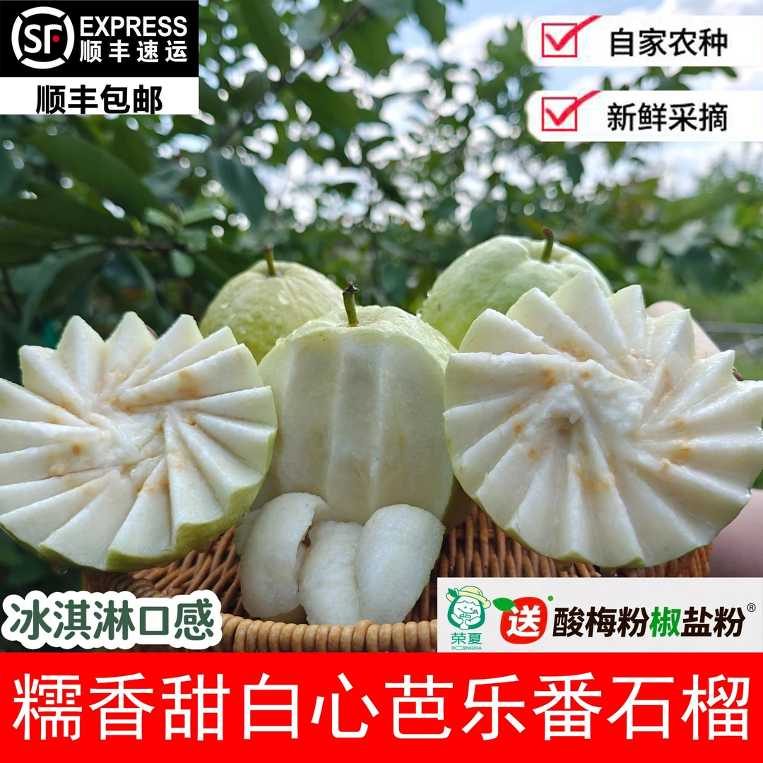【顺丰包邮】广西新鲜软糯香甜白心番石榴芭乐低糖低卡低脂健康水果
