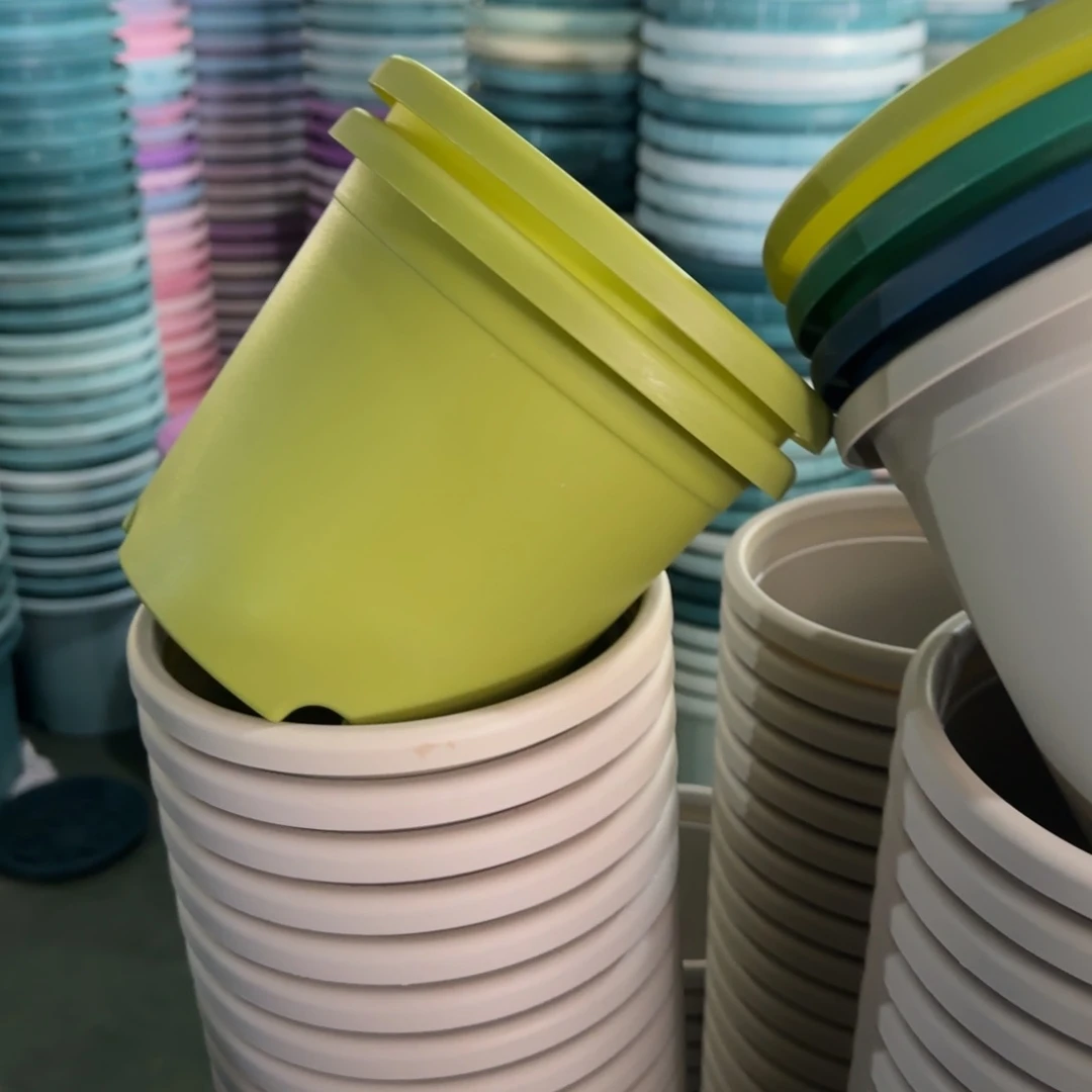 树脂特价2#无拖果绿13个