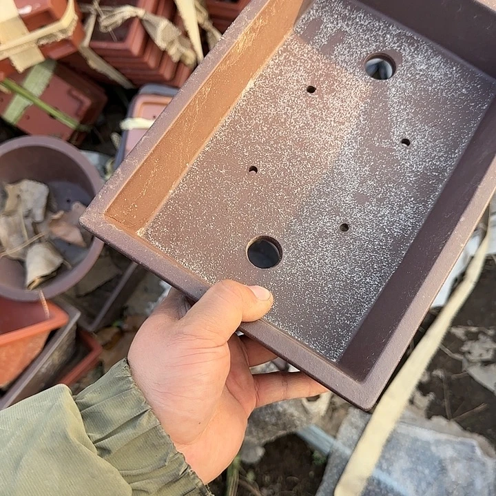 我是仲其祥家长小公主我不去