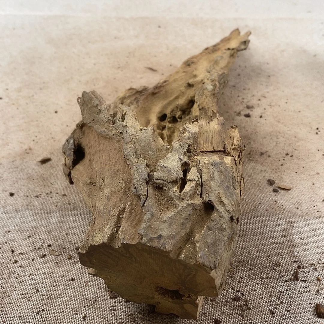 梦***处黄花梨/降香黄檀黄花梨随形料子