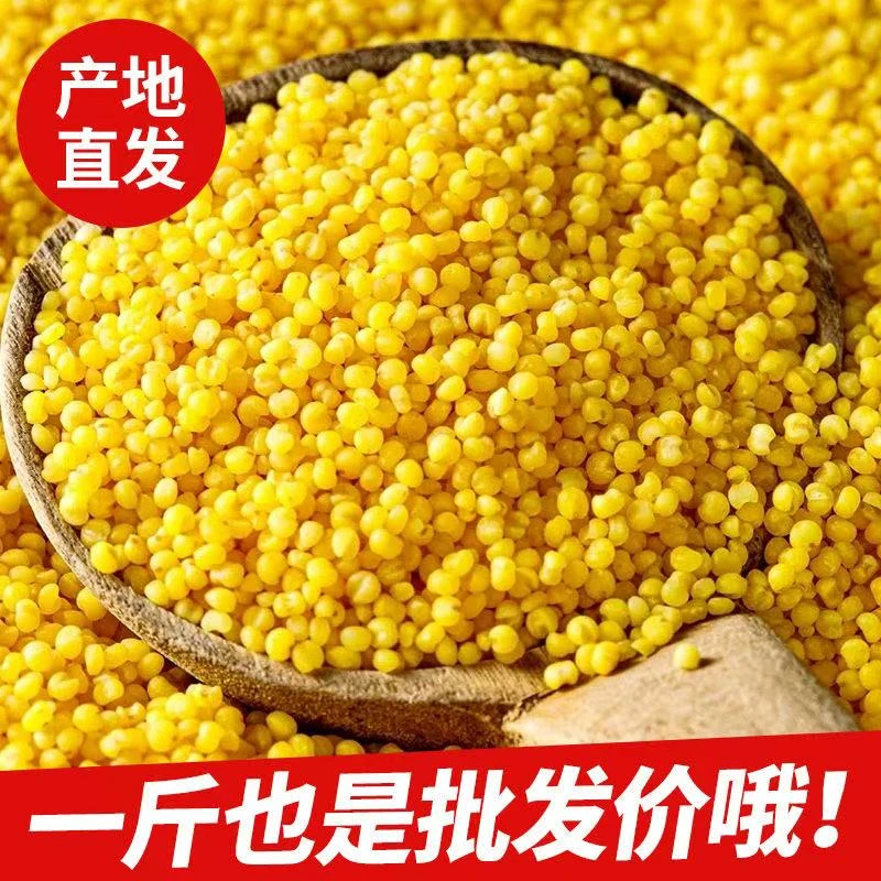 西北小黄米粗粮普通正宗陕北米脂小米粥黄小米陕北米脂油陕北小米