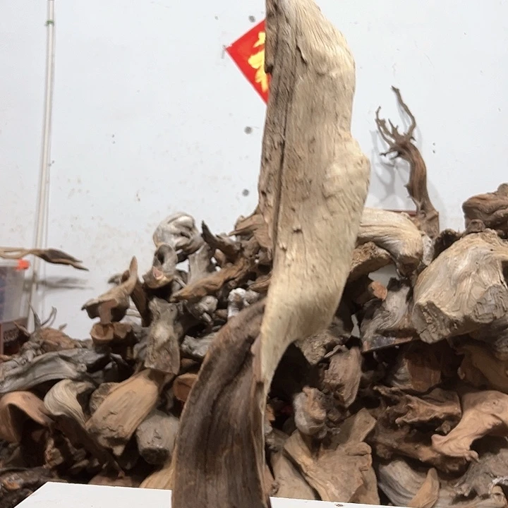 柏木W***高我们都是好孩子呀我