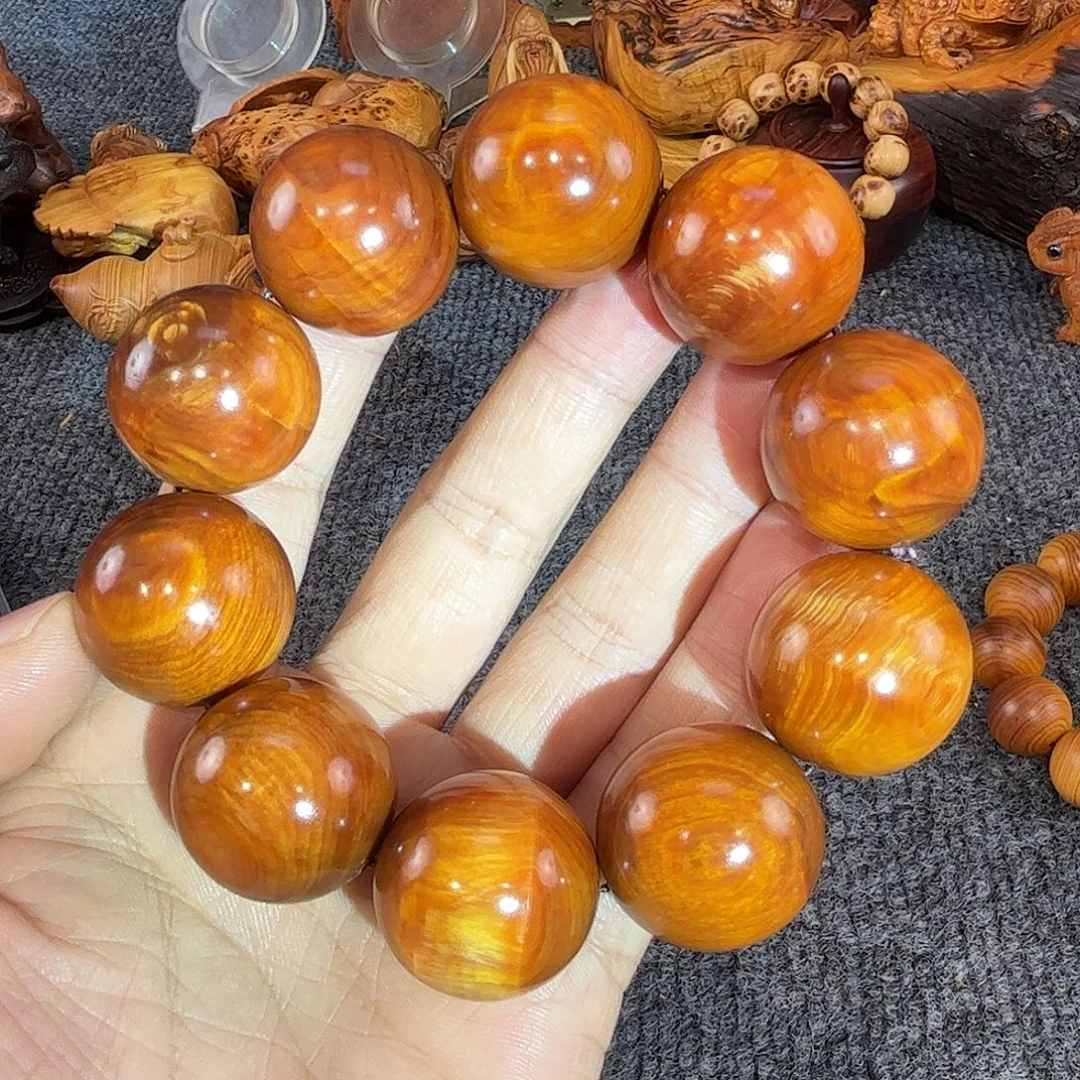 山***滩崖柏太行崖柏2.5龙胆天眼