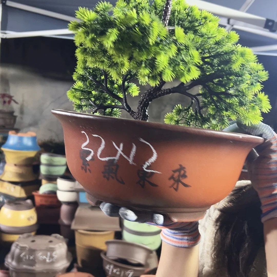 小红花盆花盆花盆花盆