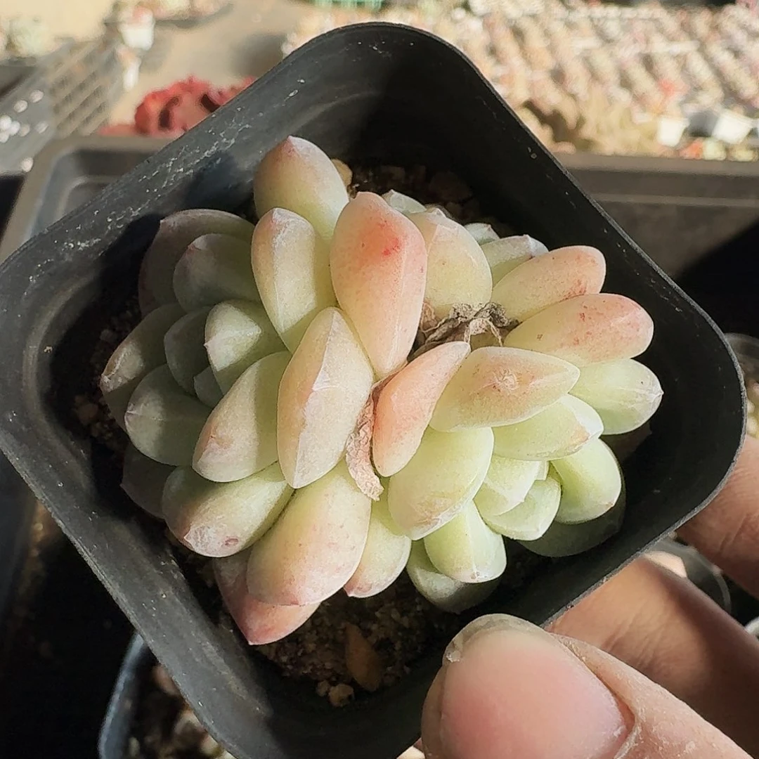 满20包邮零下拍保温箱