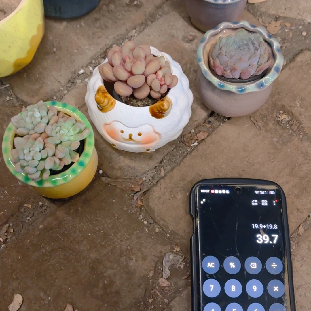 南***乔三个盆盆盆盆盆盆盆盆