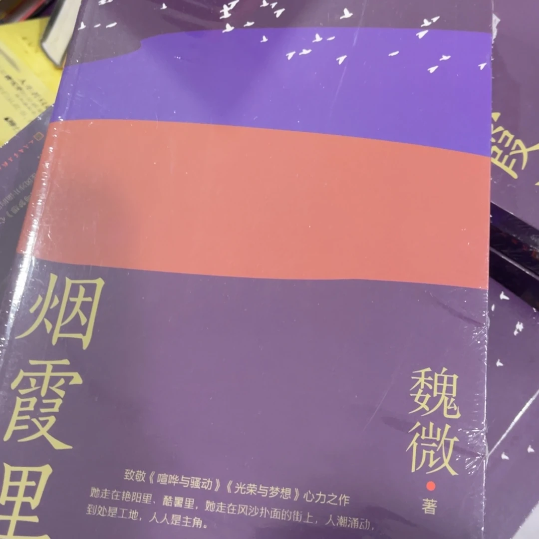 烟霞里简装一个。