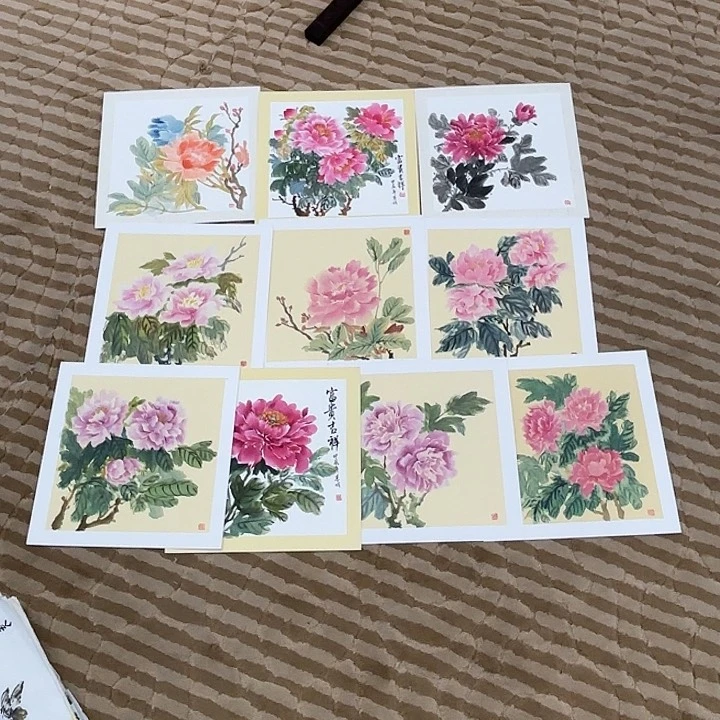 国画老*花鸟的翅膀是33.33十张