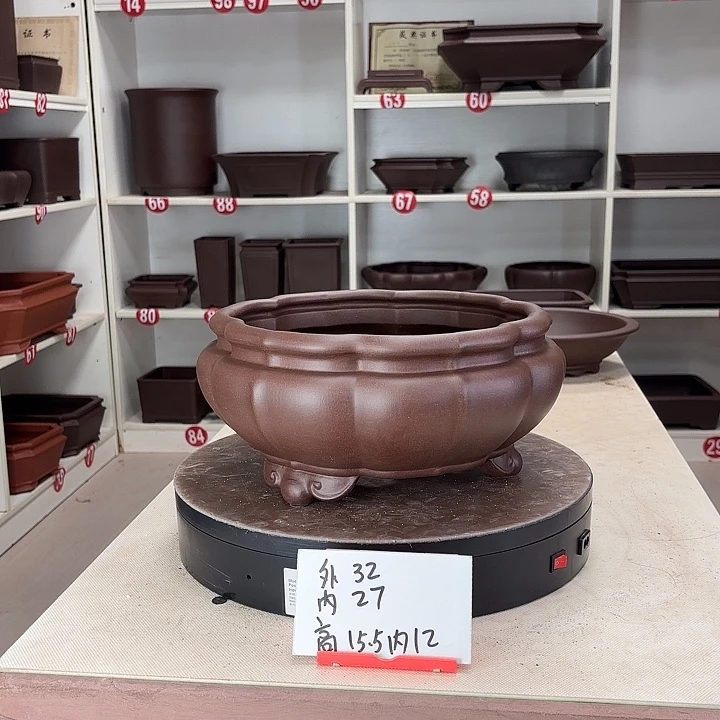花盆紫砂南瓜菱形