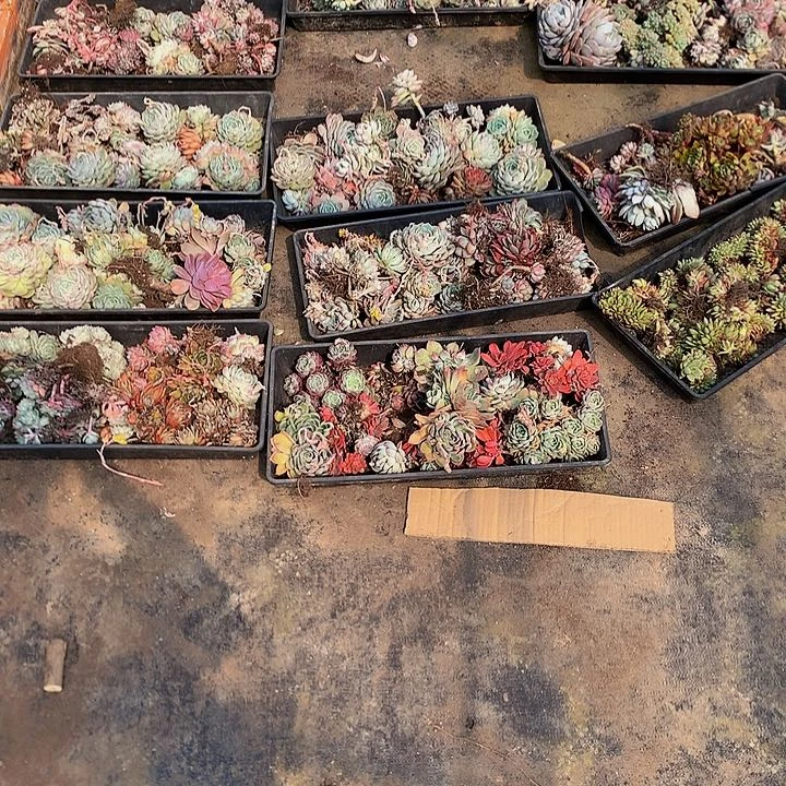 忘**?400杂货物流00000000