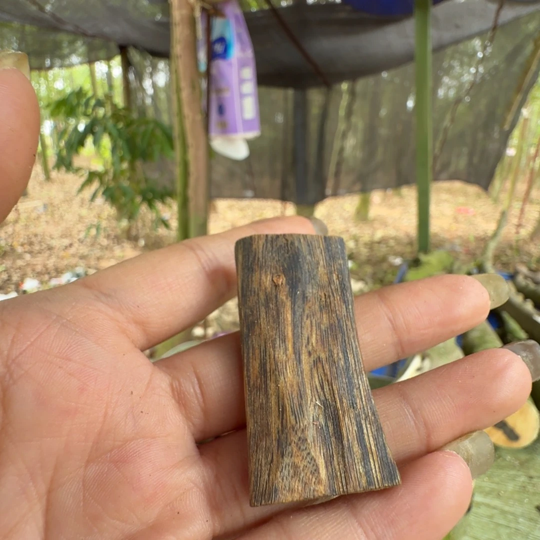 线香奇楠沉香原木