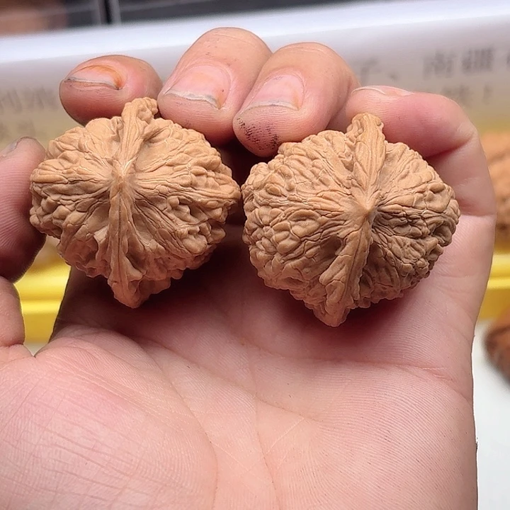 把件文玩核桃巨丑红狮子，练手对