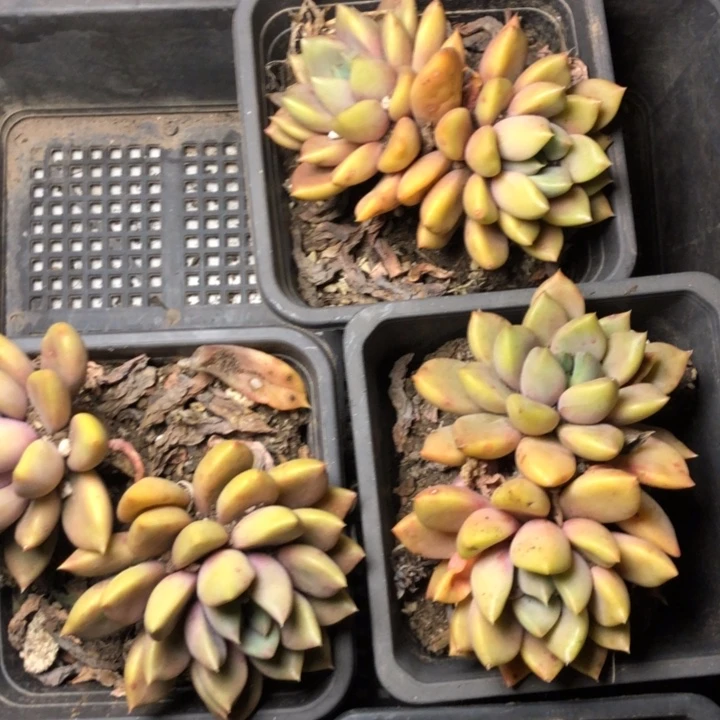 88///////////////////