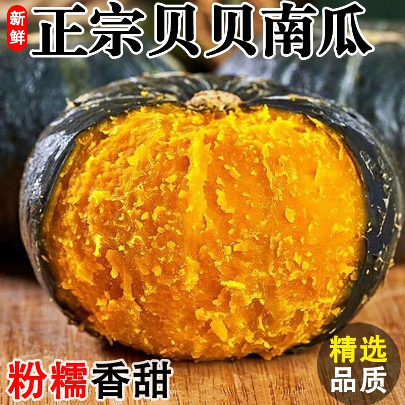 [达康农业]真贝贝南瓜甜糯老南瓜香甜粉糯小南瓜儿童辅食