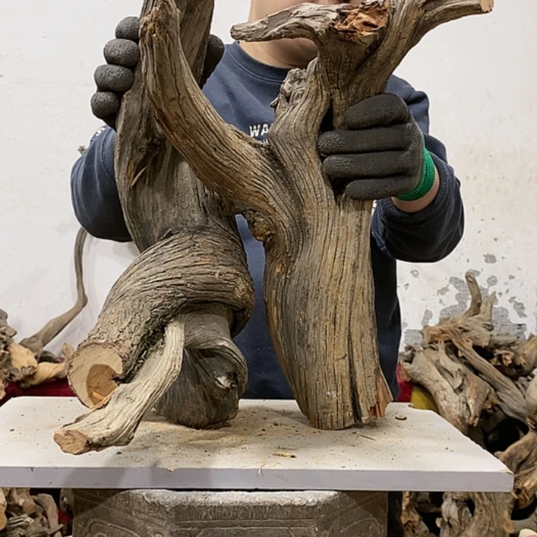 【闪购商品】柏木金*我们都是好孩子