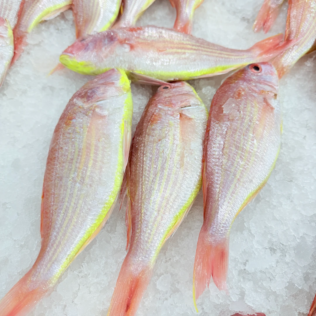 【马鲛仔海产】野生新鲜红衫鱼 3-4条斤 速冻发货 顺丰包邮 博贺港